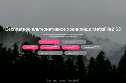 Проект MetaFileZ - файловое и объектное распределенное хранилище